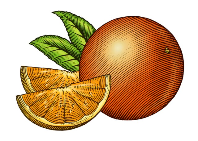 Oranges art